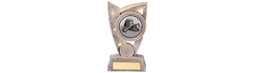 TRIUMPH BOXING RESIN TROPHY WITH OPTIONAL CUSTOM CENTRE - 2 SIZES - 12.5CM - 15CM